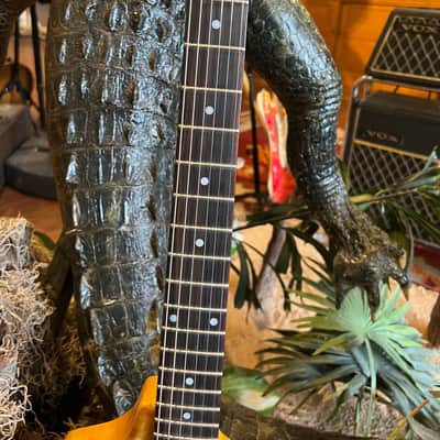 Custom Built Ray Gun J5 Obeche / Maple Burl body Maple / Ebony Neck DiMarzio PUs image 9