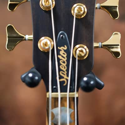 Spector Custom Shop NS-2X Ziricote image 3