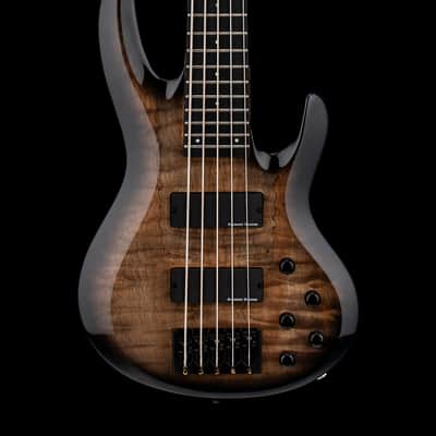 Edwards E-Albion STEALTH [L'Arc-en-Ciel tetsuya (TETSUYA