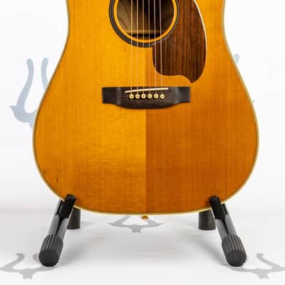 Daion MUGEN Mark III - Six String Acoustic image 1