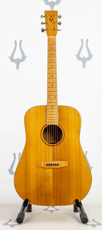 Daion MUGEN Mark III - Maple Series - Six String Acoustic image 1