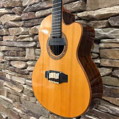 Linda Manzer Sitar Acoustic 1997 w/ Hardshell Case image 6