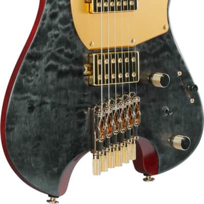 Ibanez Manuel Gardner Fernandes Signature 6 String Electric Guitar w/Bag - Obsidian Black Low Gloss (MGFM10OBL) image 2