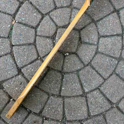 1968 Fender Telecaster Bass Neck Maple image 14