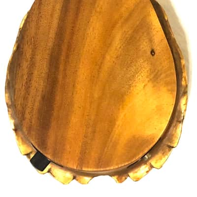 Electric turtle shell space drum | Reverb