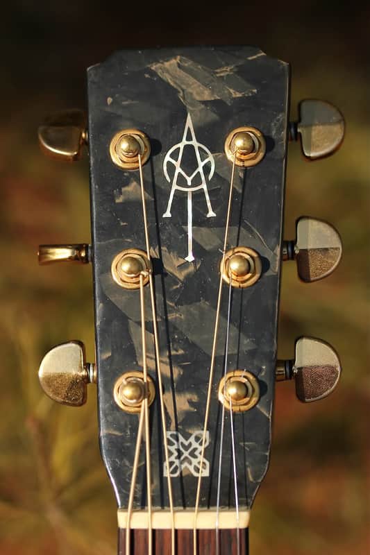 Alvarez Yairi Dy98 Modulus Graphite neck image 1