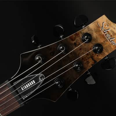 Schecter C-1 Standard in Back Fade Burst Burl image 7