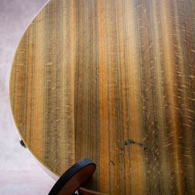 FENDER USA Vintage Wildwood Coronado II Hollow Body "Wildwood + Rosewood" (1969) image 21