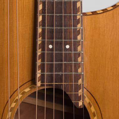 Knutsen 10 String Harp Guitar, c. 1915, black gig bag case. image 13