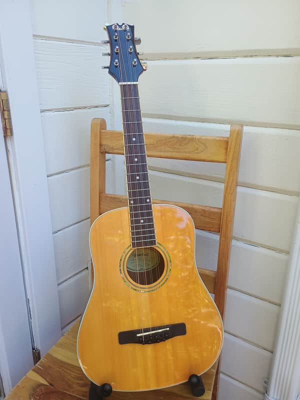 Octave Mandolin/8-String Tenor Converted Mitchell Travel Guitar, Solid Top image 1