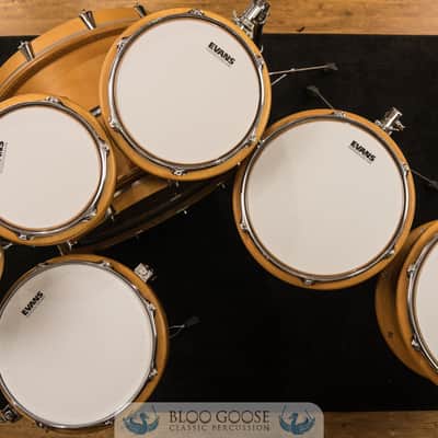 Peavey RBS-1 7-Piece Drum Set w/ Radial Pro 1000 8" Tom | 22/16/14/12/10/8/14SN image 12