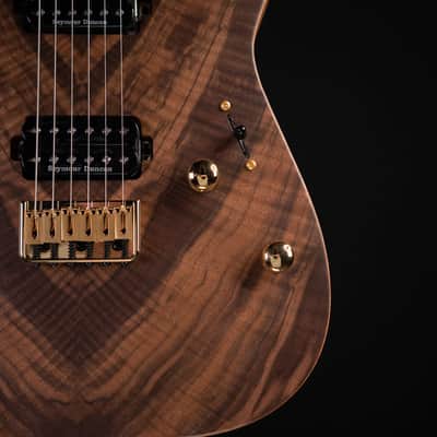 Charvel Pro-Mod DK24 HH HT M - Figured Walnut image 9