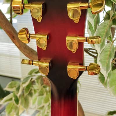 Ibanez AEG240-TRS Thinline Acoustic Electric Guitar w/ Fishman 2014 - Transparent Red Sunburst image 7