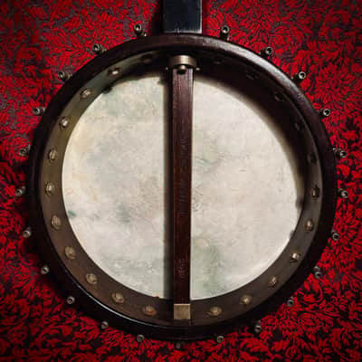 Rare 1920s Washburn Tenor Banjo Style E image 2