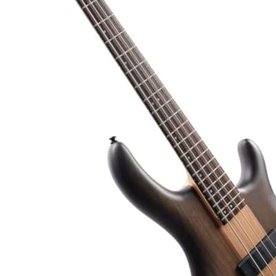 Cort C4PLUSOVMHABB Artisan Series Mahogany-Maple Body Hard Maple Neck 4-String Bass Guitar image 6