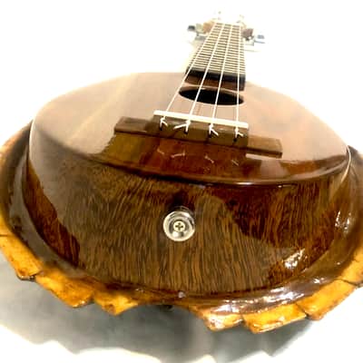 Turtle Shell Tenor Ukulele image 8