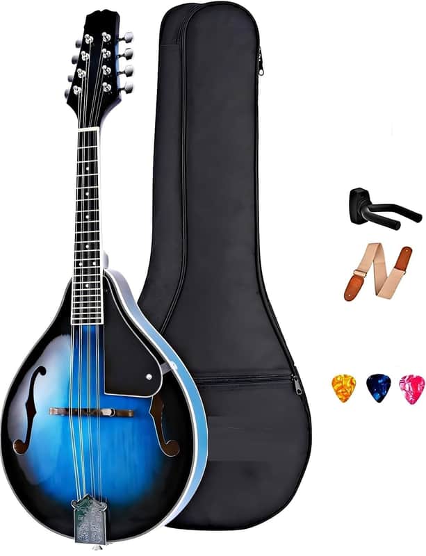 Acoustic Mandolin Instrument Kit Music A Style for Kids | Reverb