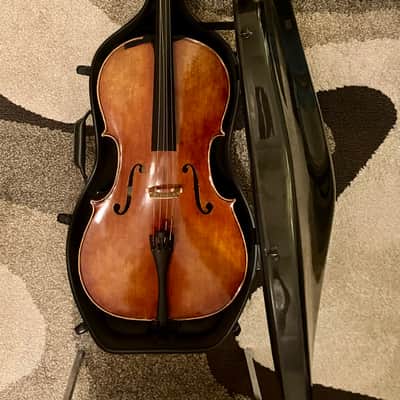 Maciej Lacek Cello Nowy Targ, Poland 2014 image 25