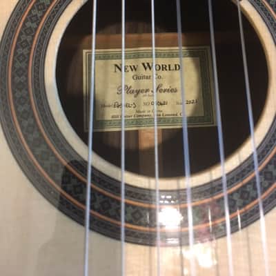 Hill New World Classical Guitar w/Elevated Fingerboard-Brand New! image 8
