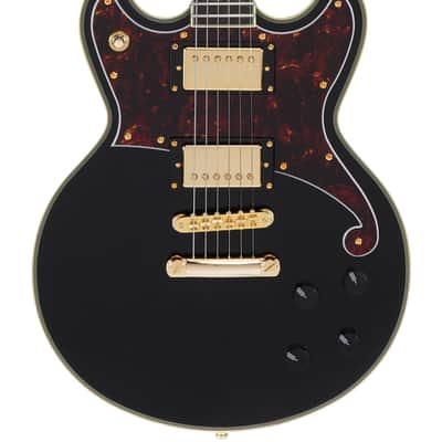 D'Angelico Deluxe Brighton Solid Black w/Case image 1