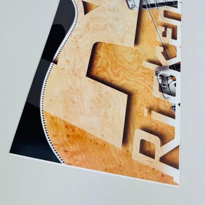 Rickenbacker Foldout Poster / Catalog 2002 image 3