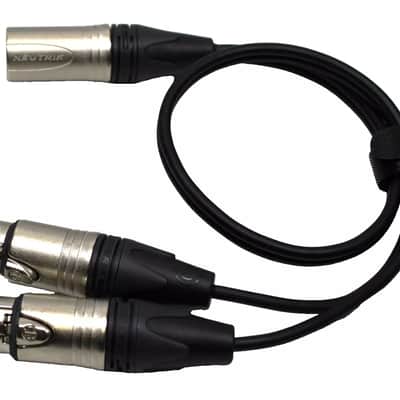 LASE  LASE 1.5ft Y Cable w/ NEUTRIK One NC3MXX 3-Pin XLR Male to Two NC3FXXX Female image 6