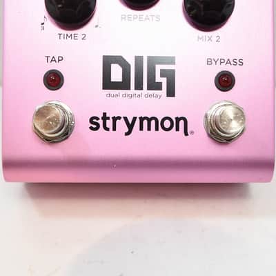 STRYMON DIG 1st generation [S18-53139] (02/17) image 3