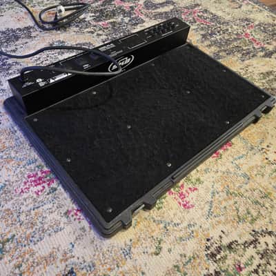 Used SKB PS-45 Powered Pedalboard - w/ Road Case image 3