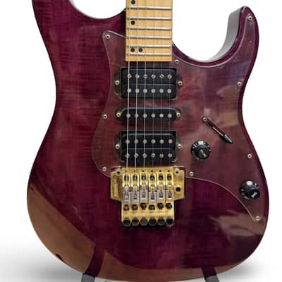 Washburn Mercury Series image 6