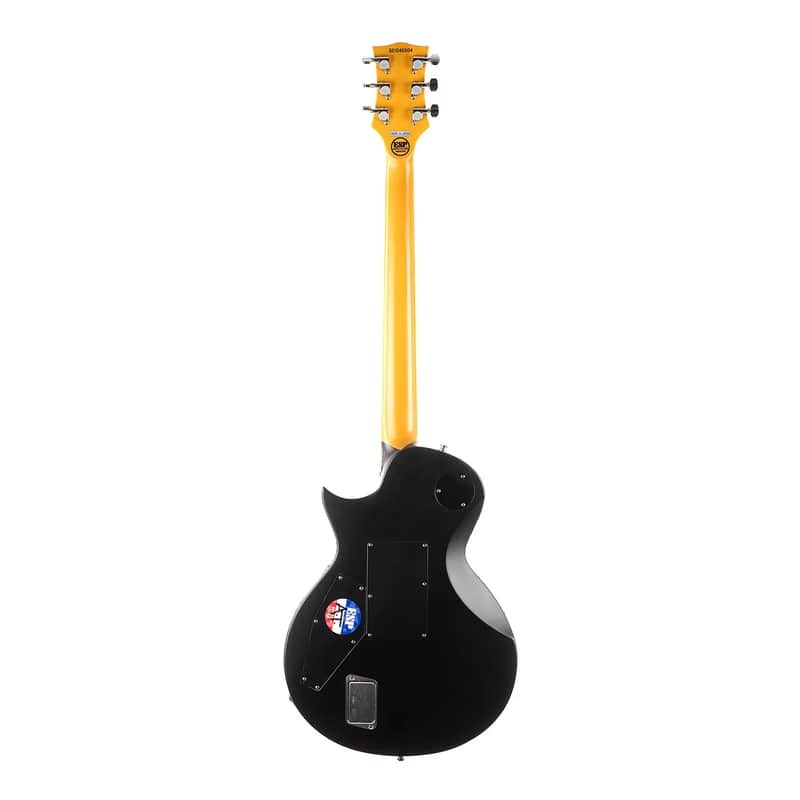 ESP E-II RZK-II Burnt Richard Z Signature image 5