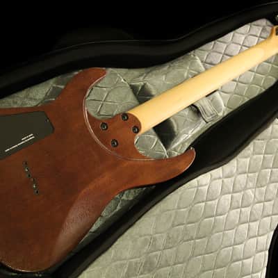Caparison Dellinger II FX-WM  Natural image 10