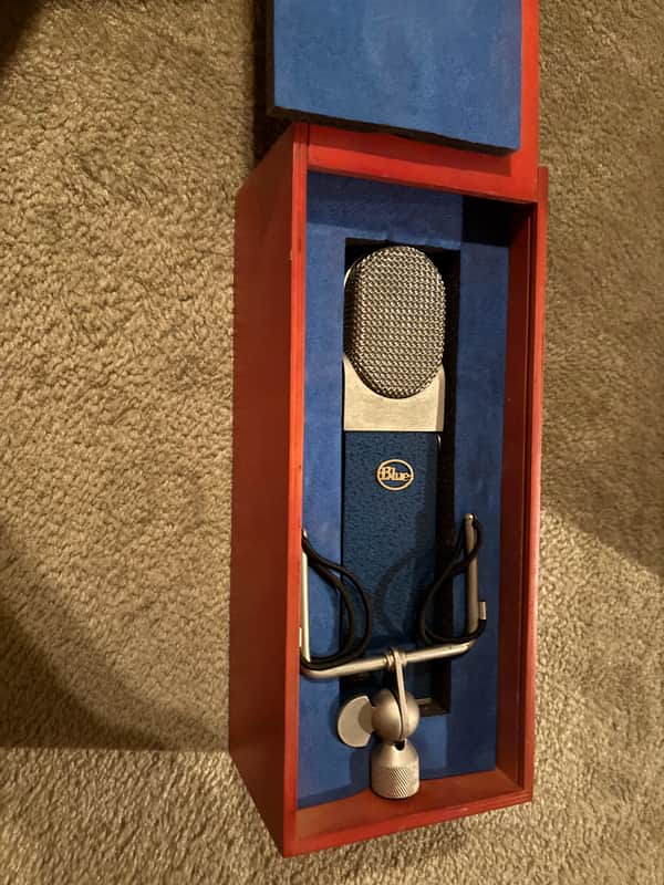 Blue Blueberry Mic image 1