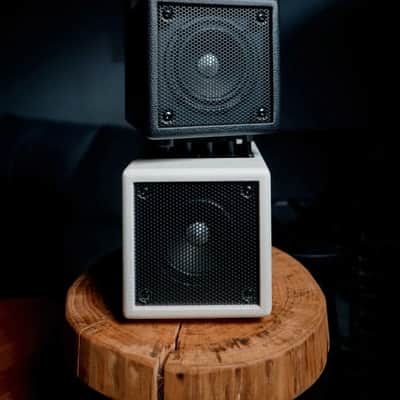 Phil Jones Bass 35W Nano Bass Amp, Black, Lightest Portable Tone-To-Go, Only 5.3 lbs.! image 7