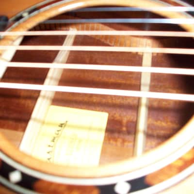 Eastman  E2OM-CD All Solid Wood Natural Satin image 8