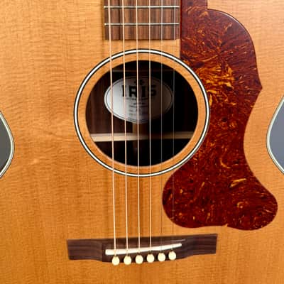 Iris AB Torrefied Sitka & Rosewood - Natural image 10