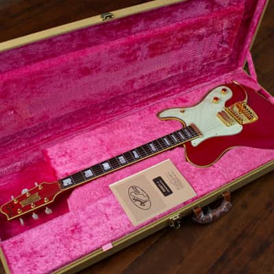 🇯🇵 1993 Fender Terry-1 Anniversary, Custom Edition, All Original, MIJ, Japan image 19