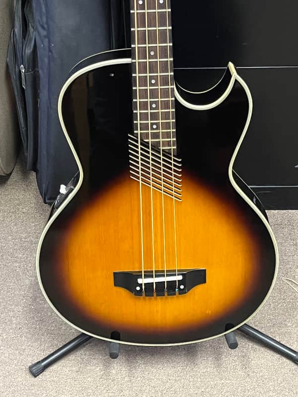 Washburn AB-20 image 1