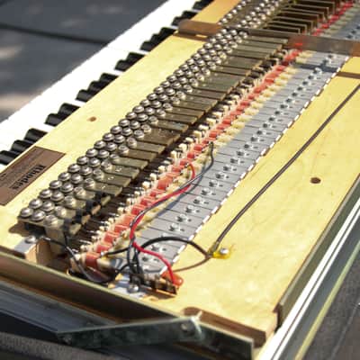 Fender Rhodes 88 with Super Satellite System 1976 image 13