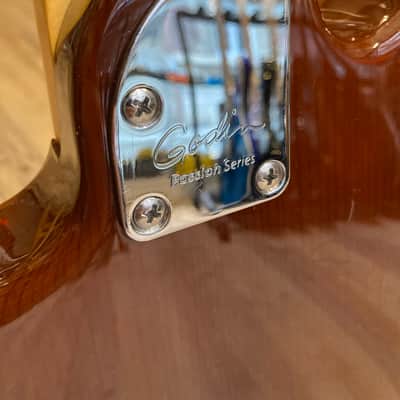 Godin Passion RG3 image 17