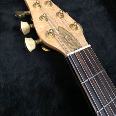 RKS Open Architecture Concept Guitar Leather #V33 1689 image 21