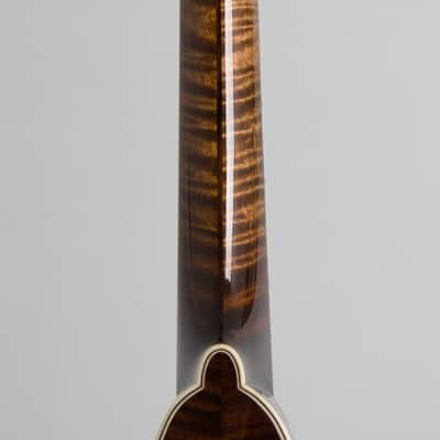Northfield  NFMSP-A5 Carved Top Mandolin (2025), ser. #ASM240172, molded hard shell case. image 9