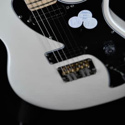 PRS SE NF 53 - Pearl White image 5