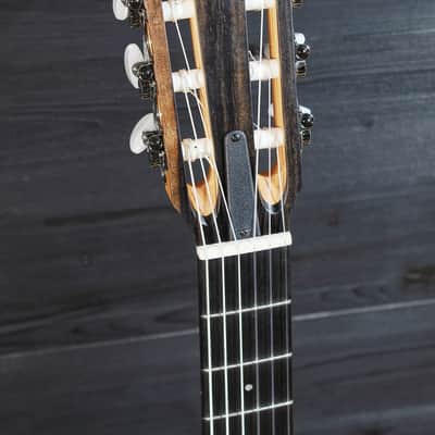 Taylor 212ce-N Plus Nylon String Rosewood / Spruce Acoustic-Electric image 24