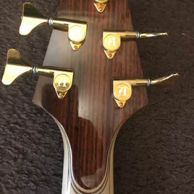 Immagine Alembic Essence 5 string - 8