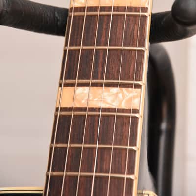 Höfner 458 – 1960 German Vintage Archtop Jazz Guitar / Gitarre image 8