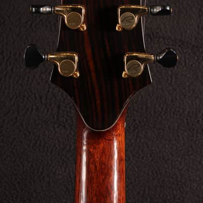 Kevin Ryan Nightingale Grand Soloist image 11