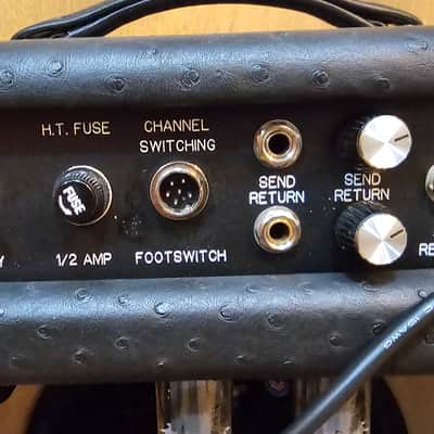 Bad Cat Hot Cat 30R RARE Ostreich Tolex image 16