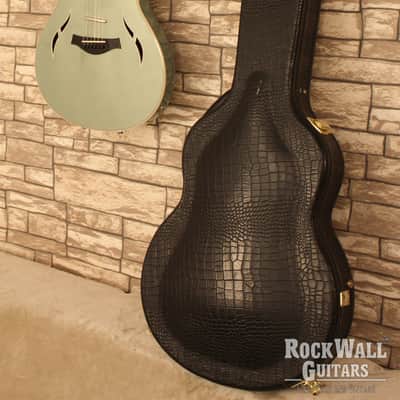 Taylor T5-C1 2006 - Sage Green image 21