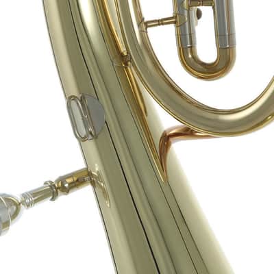 Roy Benson TH-201 Kindertenorhorn in B image 8