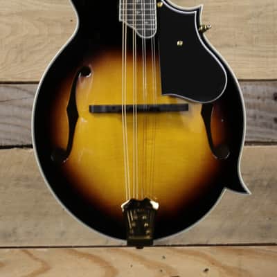 Washburn M3SWK-D-U F Style Mandolin Tobacco Sunburst w/ Case image 2